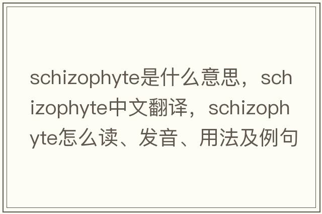 schizophyte是什么意思，schizophyte中文翻譯，schizophyte怎么讀、發(fā)音、用法及例句