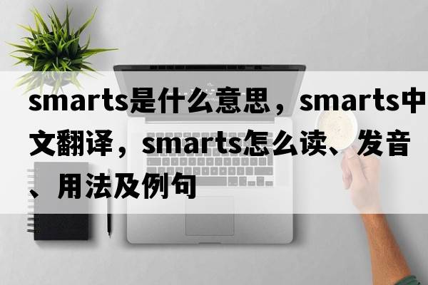smarts是什么意思，smarts中文翻譯，smarts怎么讀、發(fā)音、用法及例句