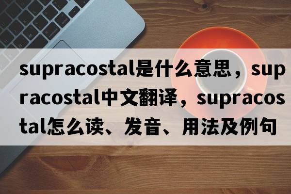 supracostal是什么意思，supracostal中文翻譯，supracostal怎么讀、發(fā)音、用法及例句