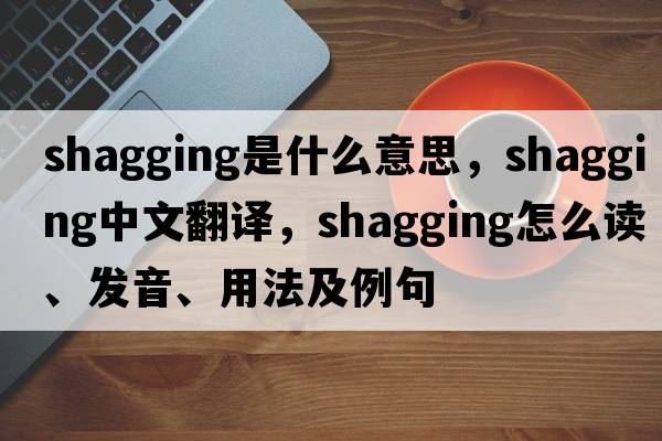 shagging是什么意思，shagging中文翻譯，shagging怎么讀、發(fā)音、用法及例句