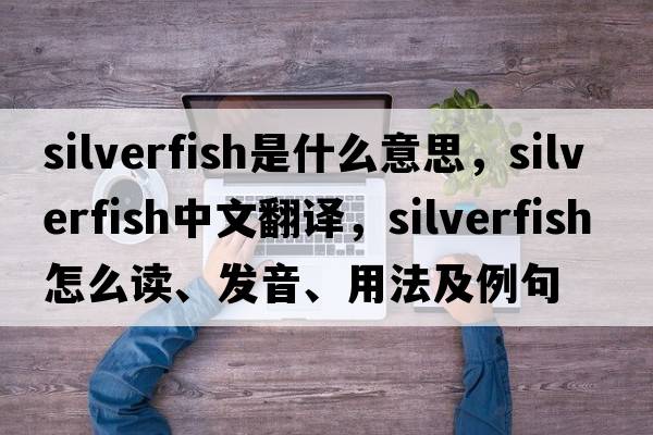 silverfish是什么意思，silverfish中文翻譯，silverfish怎么讀、發(fā)音、用法及例句