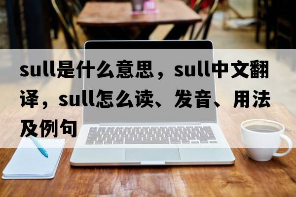 sull是什么意思，sull中文翻譯，sull怎么讀、發(fā)音、用法及例句