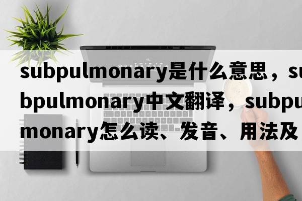 subpulmonary是什么意思，subpulmonary中文翻譯，subpulmonary怎么讀、發(fā)音、用法及例句