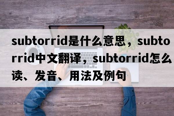 subtorrid是什么意思，subtorrid中文翻譯，subtorrid怎么讀、發(fā)音、用法及例句