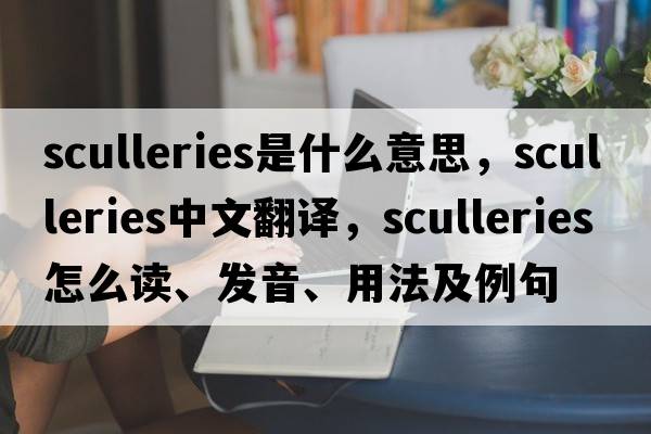sculleries是什么意思，sculleries中文翻譯，sculleries怎么讀、發(fā)音、用法及例句