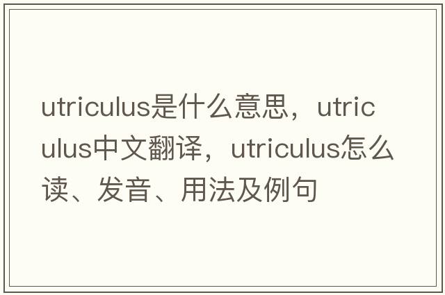 utriculus是什么意思，utriculus中文翻譯，utriculus怎么讀、發(fā)音、用法及例句