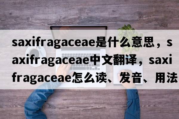 Saxifragaceae是什么意思，Saxifragaceae中文翻譯，Saxifragaceae怎么讀、發(fā)音、用法及例句