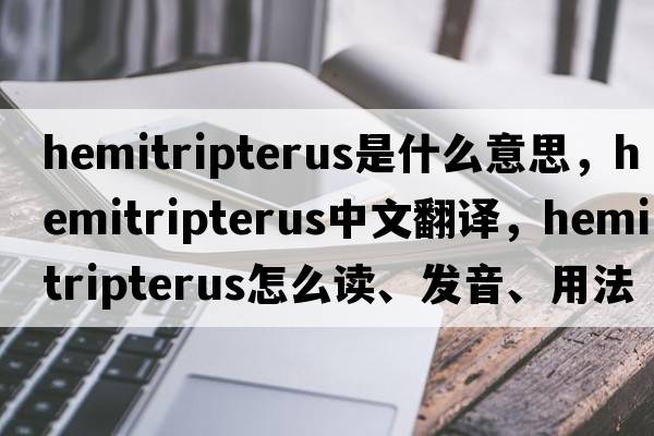 Hemitripterus是什么意思，Hemitripterus中文翻譯，Hemitripterus怎么讀、發(fā)音、用法及例句