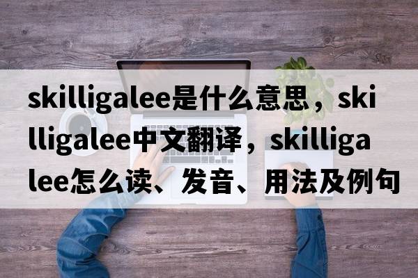 skilligalee是什么意思，skilligalee中文翻譯，skilligalee怎么讀、發(fā)音、用法及例句