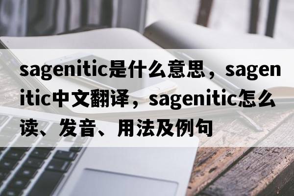 sagenitic是什么意思，sagenitic中文翻譯，sagenitic怎么讀、發(fā)音、用法及例句