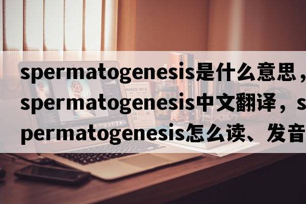 spermatogenesis是什么意思，spermatogenesis中文翻譯，spermatogenesis怎么讀、發(fā)音、用法及例句