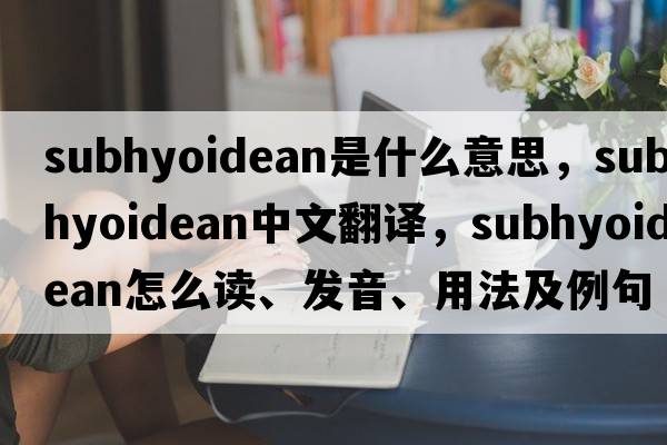 subhyoidean是什么意思，subhyoidean中文翻譯，subhyoidean怎么讀、發(fā)音、用法及例句