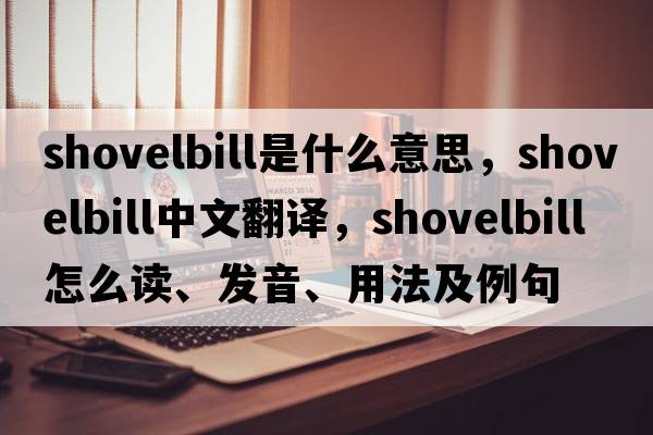 shovelbill是什么意思，shovelbill中文翻譯，shovelbill怎么讀、發(fā)音、用法及例句
