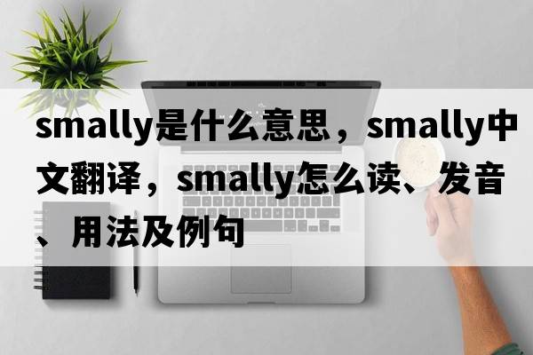 smally是什么意思，smally中文翻譯，smally怎么讀、發(fā)音、用法及例句