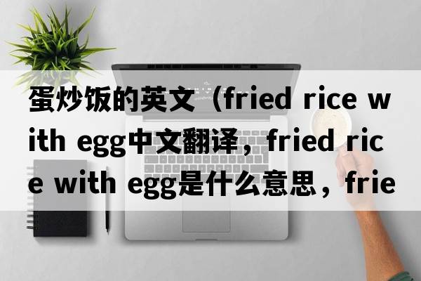 蛋炒飯的英文（fried rice with egg中文翻譯，fried rice with egg是什么意思，fried rice with egg發(fā)音、用法及例句）