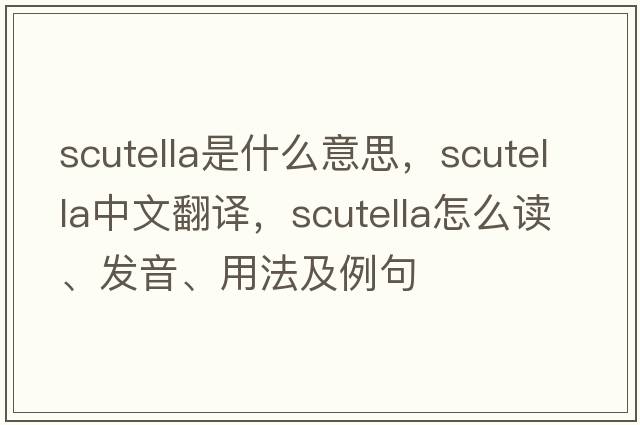 scutella是什么意思，scutella中文翻譯，scutella怎么讀、發(fā)音、用法及例句