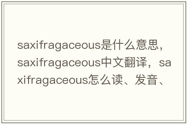 saxifragaceous是什么意思，saxifragaceous中文翻譯，saxifragaceous怎么讀、發(fā)音、用法及例句