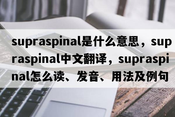 supraspinal是什么意思，supraspinal中文翻譯，supraspinal怎么讀、發(fā)音、用法及例句