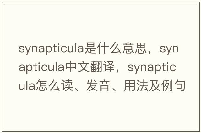 synapticula是什么意思，synapticula中文翻譯，synapticula怎么讀、發(fā)音、用法及例句
