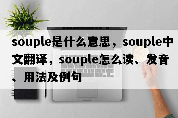 souple是什么意思，souple中文翻譯，souple怎么讀、發(fā)音、用法及例句