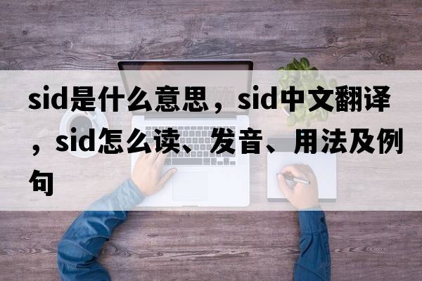 sid是什么意思，sid中文翻譯，sid怎么讀、發(fā)音、用法及例句