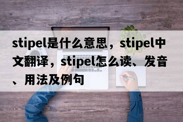 stipel是什么意思，stipel中文翻譯，stipel怎么讀、發(fā)音、用法及例句