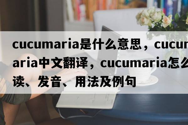 cucumaria是什么意思，cucumaria中文翻譯，cucumaria怎么讀、發(fā)音、用法及例句