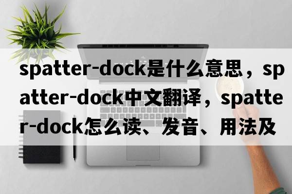 spatter-dock是什么意思，spatter-dock中文翻譯，spatter-dock怎么讀、發(fā)音、用法及例句