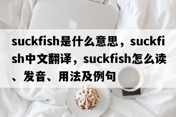 suckfish是什么意思，suckfish中文翻譯，suckfish怎么讀、發(fā)音、用法及例句
