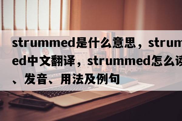 strummed是什么意思，strummed中文翻譯，strummed怎么讀、發(fā)音、用法及例句