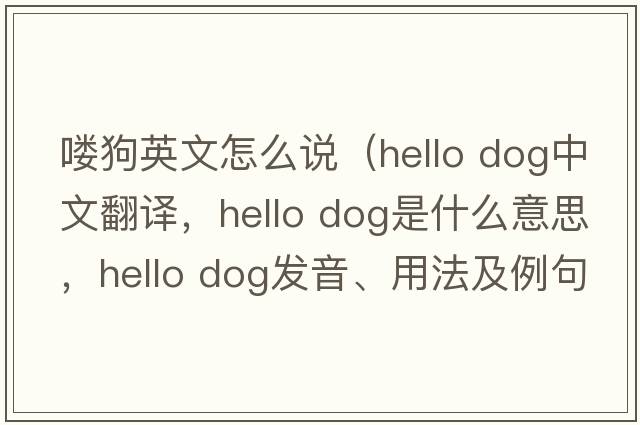 嘍狗英文怎么說（hello dog中文翻譯，hello dog是什么意思，hello dog發(fā)音、用法及例句）