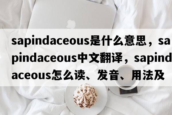 sapindaceous是什么意思，sapindaceous中文翻譯，sapindaceous怎么讀、發(fā)音、用法及例句