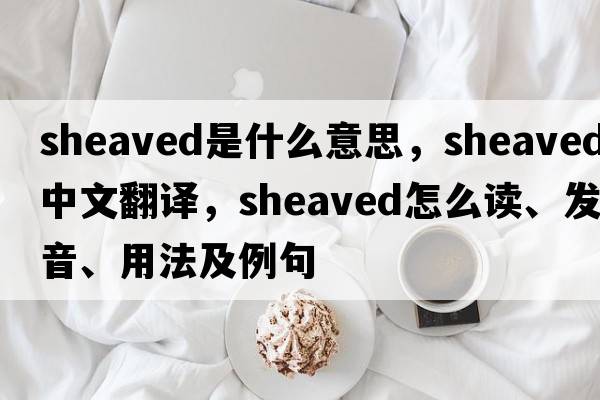 sheaved是什么意思，sheaved中文翻譯，sheaved怎么讀、發(fā)音、用法及例句