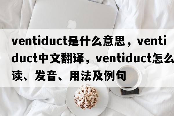 ventiduct是什么意思，ventiduct中文翻譯，ventiduct怎么讀、發(fā)音、用法及例句