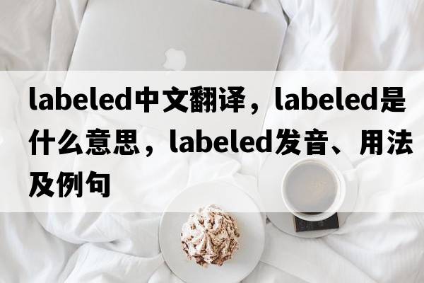 labeled中文翻譯，labeled是什么意思，labeled發(fā)音、用法及例句