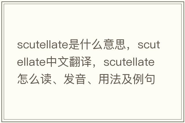 scutellate是什么意思，scutellate中文翻譯，scutellate怎么讀、發(fā)音、用法及例句