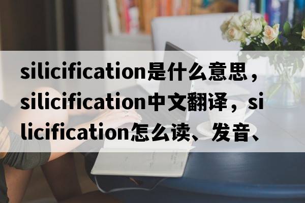 silicification是什么意思，silicification中文翻譯，silicification怎么讀、發(fā)音、用法及例句