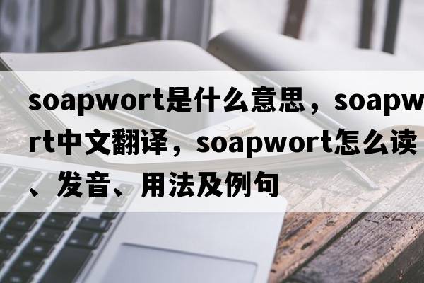 soapwort是什么意思，soapwort中文翻譯，soapwort怎么讀、發(fā)音、用法及例句