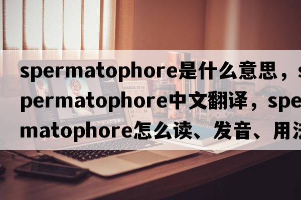 spermatophore是什么意思，spermatophore中文翻譯，spermatophore怎么讀、發(fā)音、用法及例句