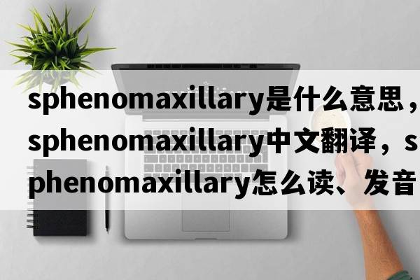 sphenomaxillary是什么意思，sphenomaxillary中文翻譯，sphenomaxillary怎么讀、發(fā)音、用法及例句