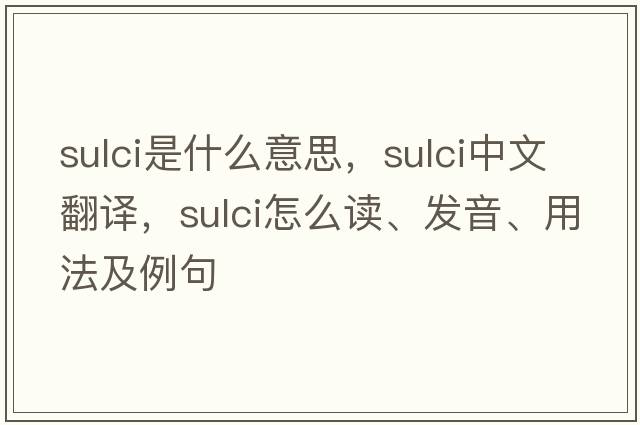 sulci是什么意思，sulci中文翻譯，sulci怎么讀、發(fā)音、用法及例句