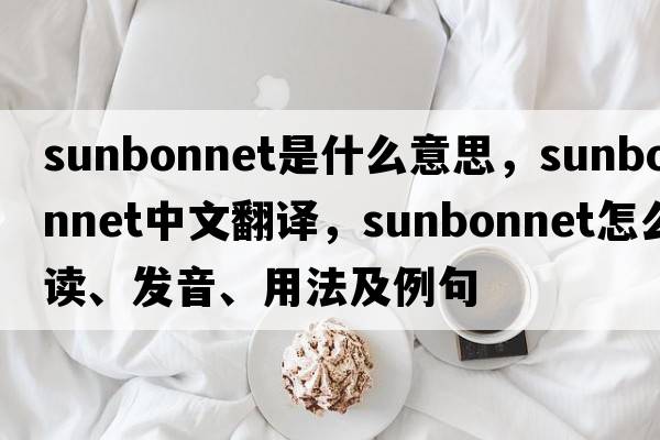sunbonnet是什么意思，sunbonnet中文翻譯，sunbonnet怎么讀、發(fā)音、用法及例句