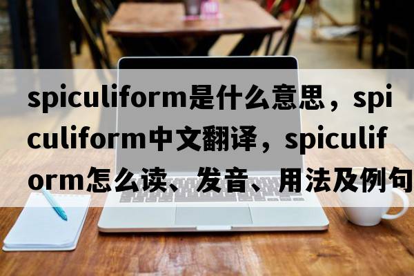 spiculiform是什么意思，spiculiform中文翻譯，spiculiform怎么讀、發(fā)音、用法及例句