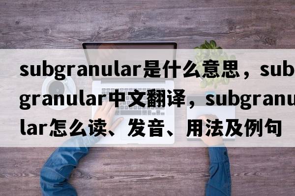 subgranular是什么意思，subgranular中文翻譯，subgranular怎么讀、發(fā)音、用法及例句