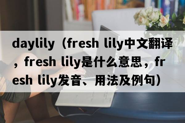 daylily（fresh lily中文翻譯，fresh lily是什么意思，fresh lily發(fā)音、用法及例句）
