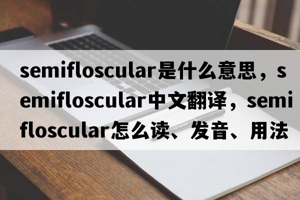 semifloscular是什么意思，semifloscular中文翻譯，semifloscular怎么讀、發(fā)音、用法及例句