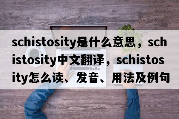 schistosity是什么意思，schistosity中文翻譯，schistosity怎么讀、發(fā)音、用法及例句