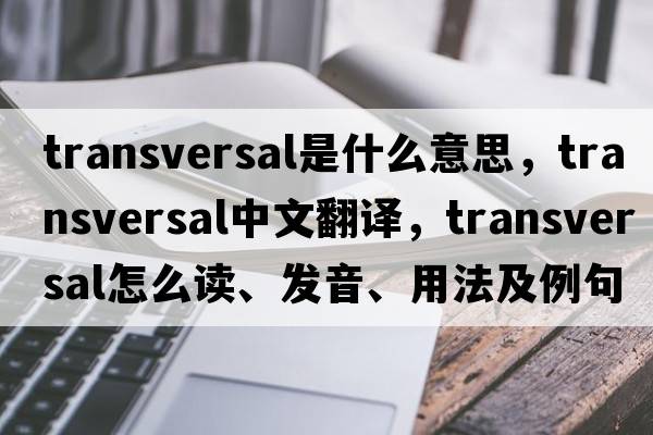 transversal是什么意思，transversal中文翻譯，transversal怎么讀、發(fā)音、用法及例句