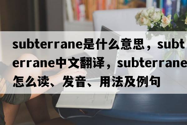 subterrane是什么意思，subterrane中文翻譯，subterrane怎么讀、發(fā)音、用法及例句