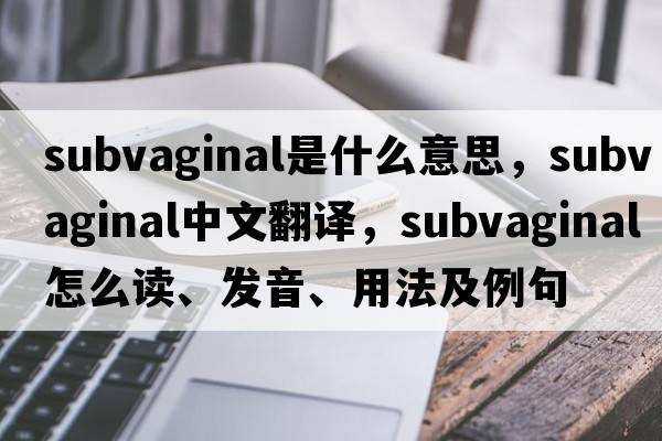 subvaginal是什么意思，subvaginal中文翻譯，subvaginal怎么讀、發(fā)音、用法及例句